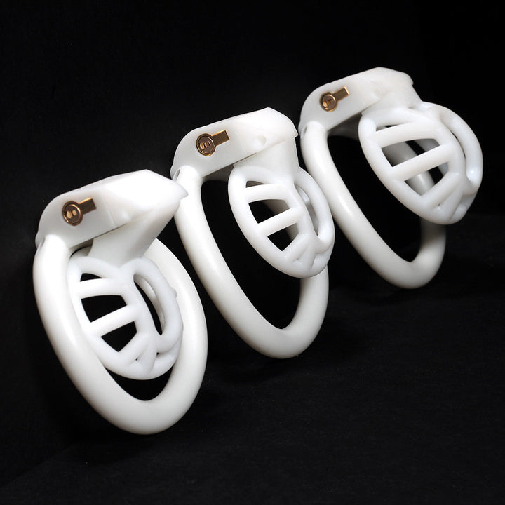 Positive And Negative Pole Chastity Lock