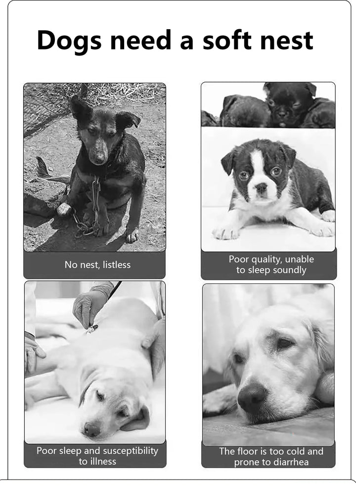 Four Seasons Dog Bed