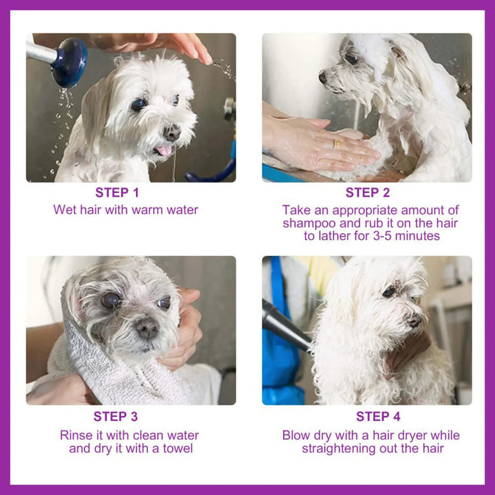 Lavender Shampoo and Conditioner