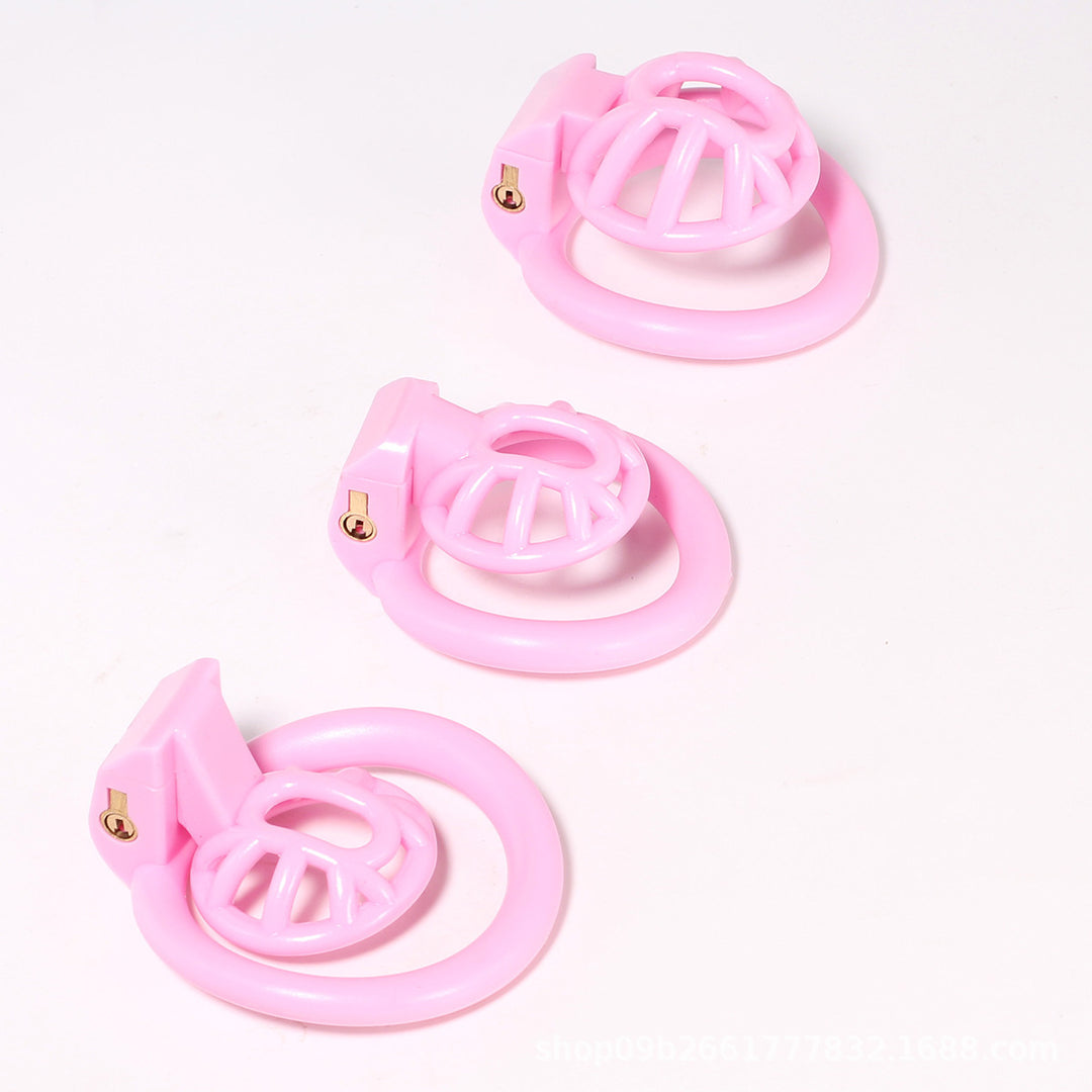 Positive And Negative Pole Chastity Lock